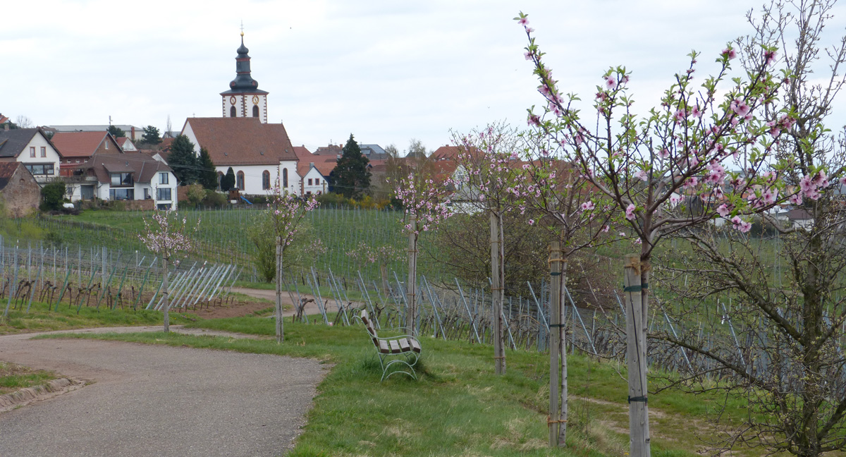 Weyer Ansicht über das Dorf